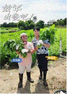 连载更新表索引卡:声音采集计划综艺封面